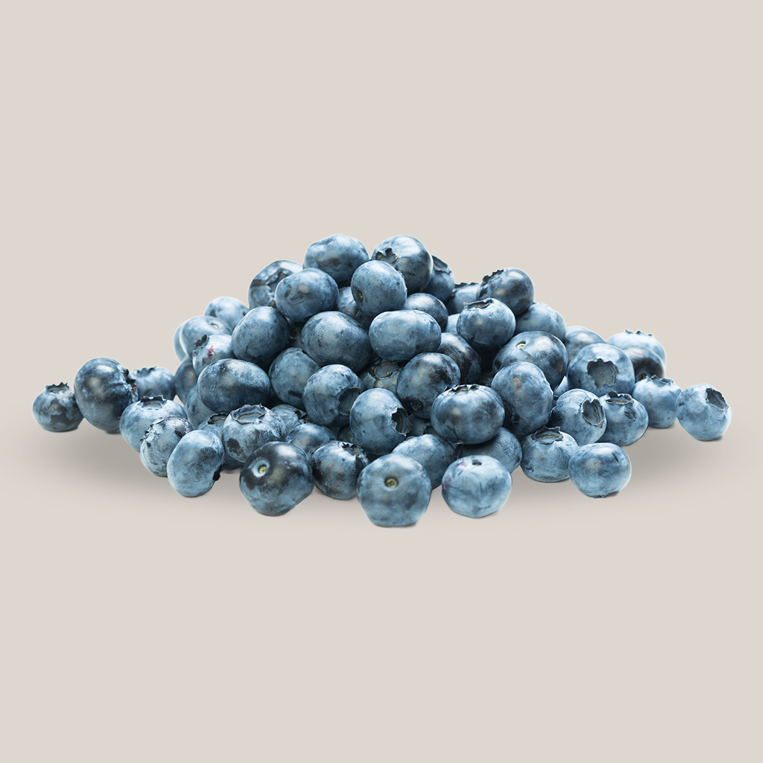 Sveže ubrane borovnice