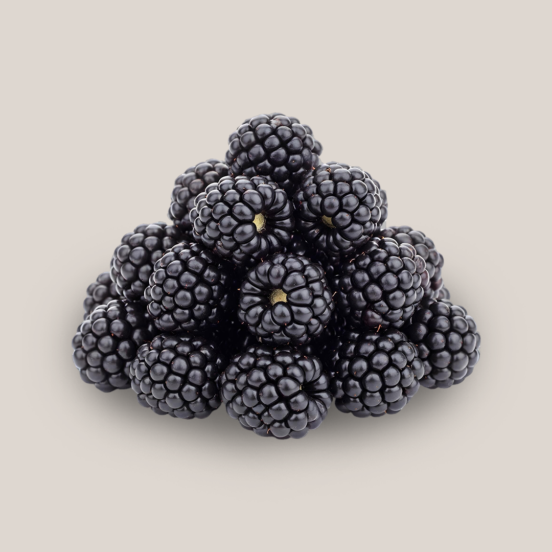 Sveže ubrane kupine