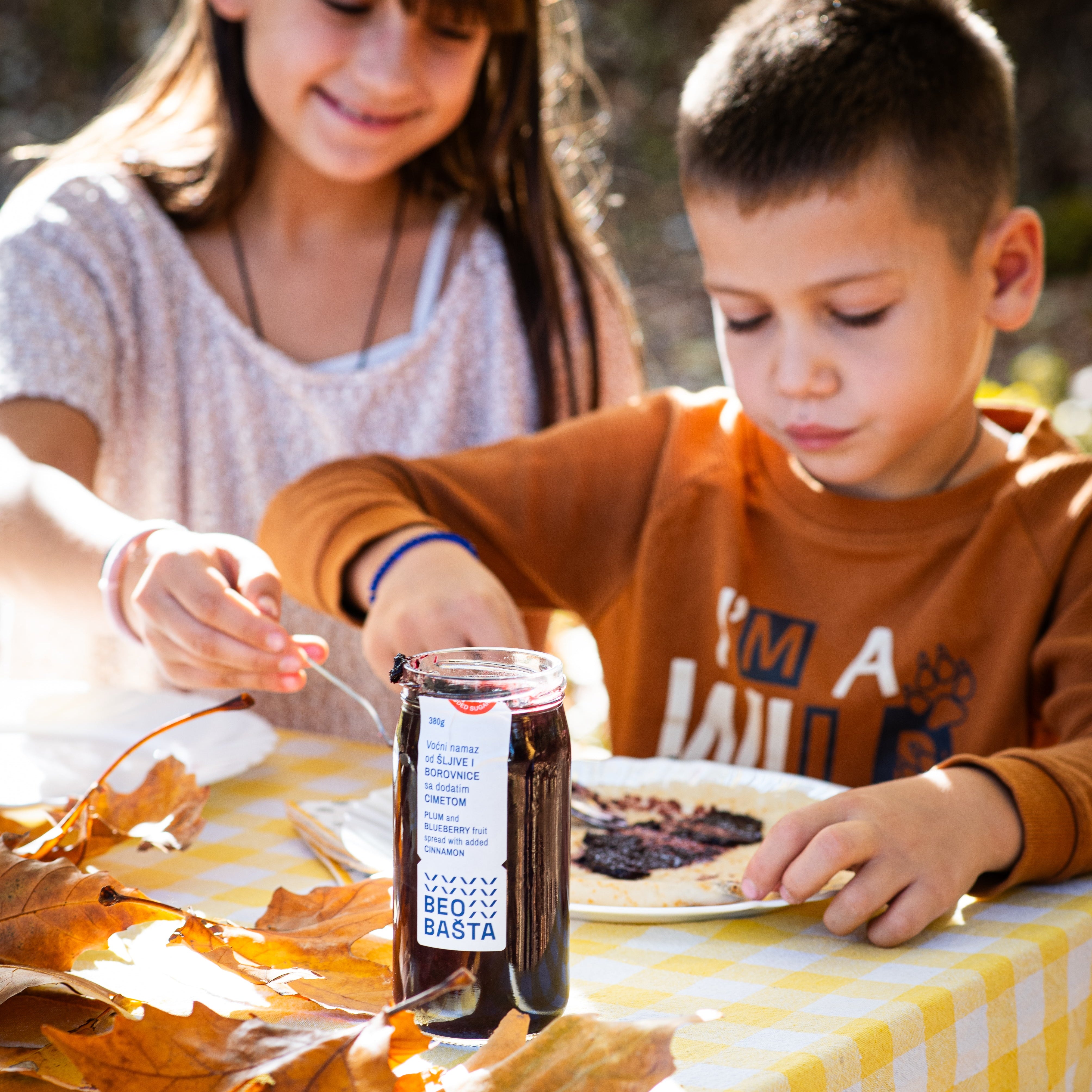 Namaz od borovnice i šljive sa cimetom