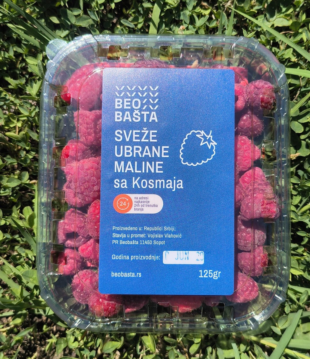 Sveže ubrane maline
