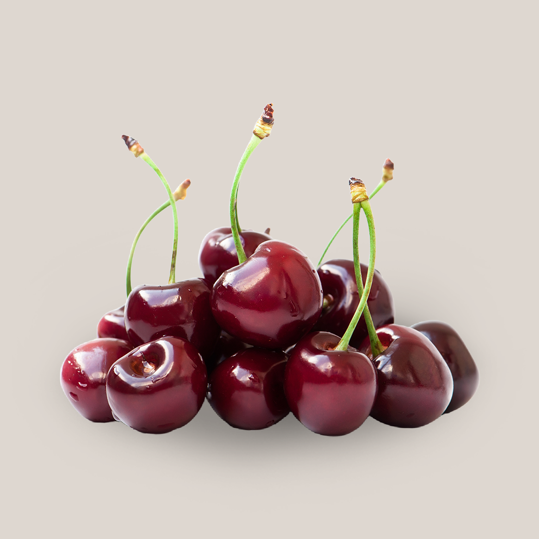 Sveže ubrane višnje